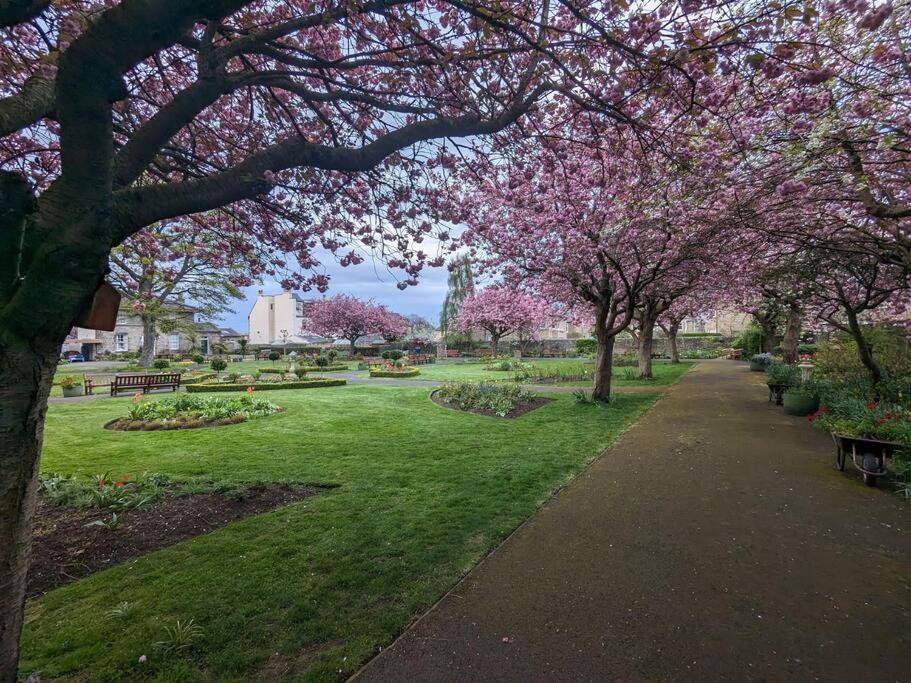Peaceful Oasis By The Sea Daire Edinburgh Dış mekan fotoğraf